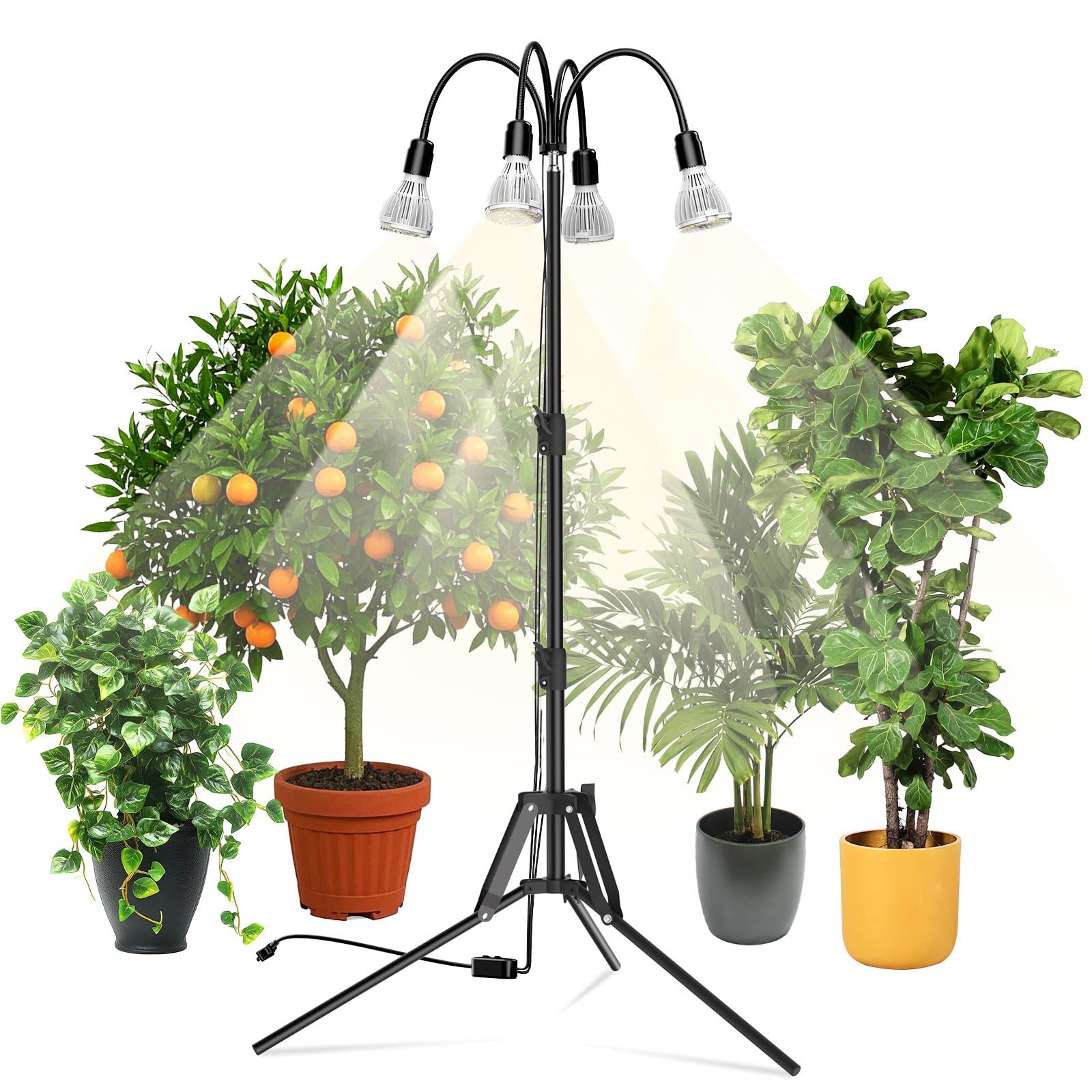 Amazon.com: SANSI Upgraded 120W Grow Light with Adjustable Tripod